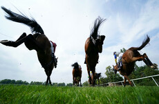 BBC Panorama documentary to focus on fate of ex-racehorses