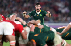 'We’ll be ready' - Return of influential Pollard a huge boost for the Boks