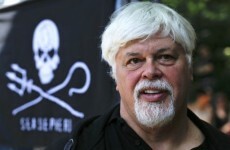 Interpol alert issued for Sea Shepherd's Captain Paul Watson