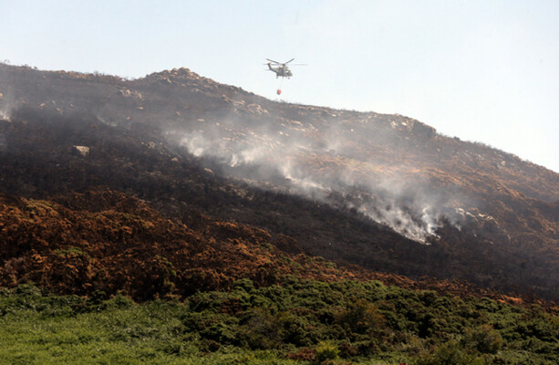 'The situation has vastly improved': Gorse fires on Howth Head now ...
