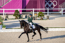 Four-time Irish Olympian Holstein and Sambuca produce spectacular Dressage routine but fall short
