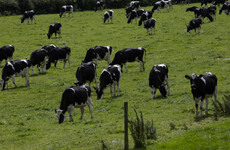 Charlie McConalogue: Farming and climate ambitions can co-exist