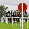 16/1 shot worth a punt in Wednesday's big race at the Galway Festival