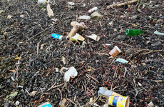 Just 40% of Irish coasts and harbours 'clean by European standards', study finds