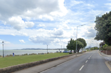 High Court upholds challenge against cycle path trial in Sandymount
