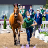 Ireland's eventing team in 13th place following dressage phase