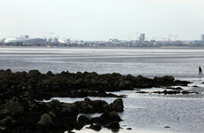 Public advised not to swim at popular Dublin spot due to e-coli levels