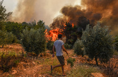 Turkey evacuates panicked tourists by boat from wildfires