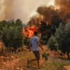 Turkey evacuates panicked tourists by boat from wildfires