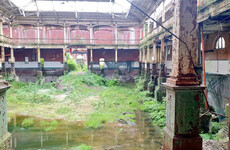 Call for swift action to preserve Iveagh Market as new images show 'shocking' deterioration