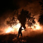 Hundreds of Greek firefighters battle to protect town from ferocious blaze