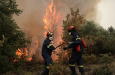 New blaze breaks out on Greek island of Evia ravaged by wildfires