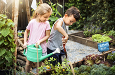 Opinion: Five changes you can make to guide your children to a greener life
