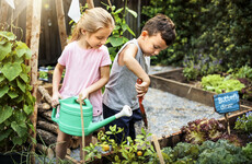 Opinion: Five changes you can make to guide your children to a greener life
