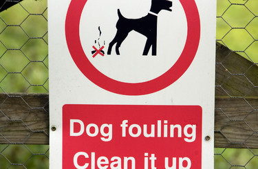 Dog Fouling Ireland: Mutt Mitts Dog Fouling Solutions and Dog Waste bags - Mutt  Mitts Ireland - Dog Fouling Solutions & Dog waste bags