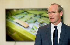 Scenes of large gatherings around All-Ireland hurling final 'indefensible', says Coveney