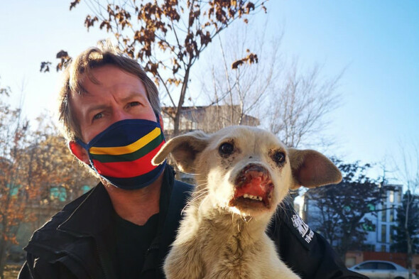 Ex-marine evacuates animals from Kabul but shelter staff left behind - Vimarsana News