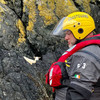 Irish Coast Guard rescues lamb that got stuck on Lambay Island cliff