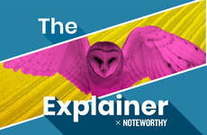 The Explainer x Noteworthy: What can be done to halt the decline of our precious biodiversity?
