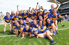 Wicklow atone for last year's final loss to claim All-Ireland title at the expense of Antrim