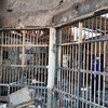 41 inmates killed and 80 injured in fire at overcrowded Indonesian prison