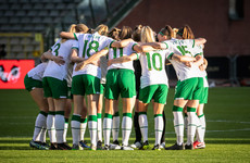 Ireland's World Cup qualifier against Georgia postponed until next summer