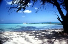 Welcome to the new home of Manchester United: the Cayman Islands