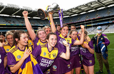 Wexford finish strongest to claim All-Ireland glory in Croke Park thriller