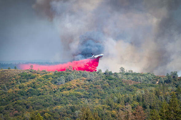 California forest fires threaten world's largest trees · TheJournal.ie - Vimarsana News