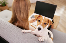 Opinion: Remote working is now part of our 'new normal' - let's get it right