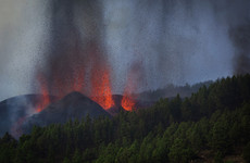 Lava flows destroy houses in Canary Islands as people block roads to get view of eruption