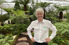 Irish gardener wins gold medal at Chelsea Flower Show