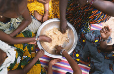 Opinion: Today's UN food summit in New York cannot become just another talking shop