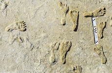 Fossil footprints suggest early humans walked in North America 23,000 years ago