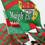 Mayo All-Ireland winning hero from 1951 team passes away