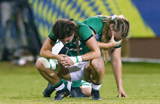 IRFU must be brutally self-critical as review into World Cup failure begins