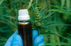 First medicinal cannabis product to be available from October