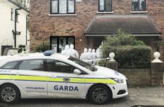 Woman found not guilty by reason of insanity of Foxrock murder