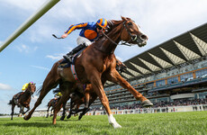 Disappointment for Aidan O'Brien as Love ruled out of Prix de l'Arc de Triomphe