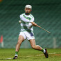 Limerick goalkeeper rescues Patrickswell with late points as they advance to county semi-final
