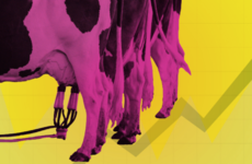 Land grab: How agri-subsidies encourage farmers to cut back on nature