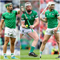 Limerick trio nominated for 2021 Hurler of the Year award