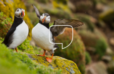 'It is urgent': 'Frustration' that still no date set for Citizens' Assembly on biodiversity