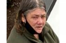 Gardaí seek help tracing 55-year-old woman missing from Dublin