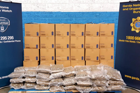 The cannabis seized by gardaí and Revenue yesterday