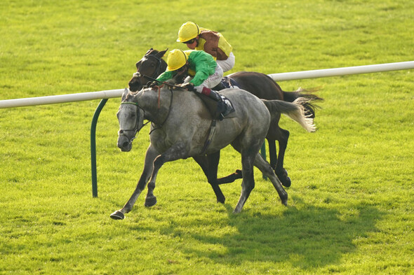 Oisin Murphy strikes late on Buzz to land Cesarewitch for Nicky Henderson - Vimarsana News
