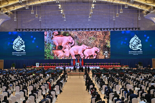 Countries urged to prevent mass extinction at UN biodiversity summit in China - Vimarsana News