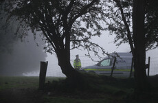 Woodland search continues as part of Deirdre Jacob murder probe