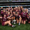 12 All-Star nominations for champions Galway as Murray named camogie manager of the year