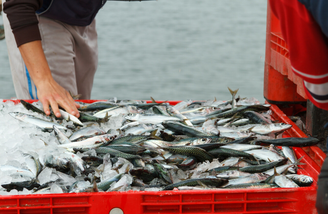 Severe exploitation' of migrant fishers a daily recurrence, Oireachtas  committee to hear